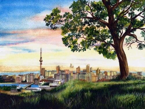 Skyline Auckland New Zealand